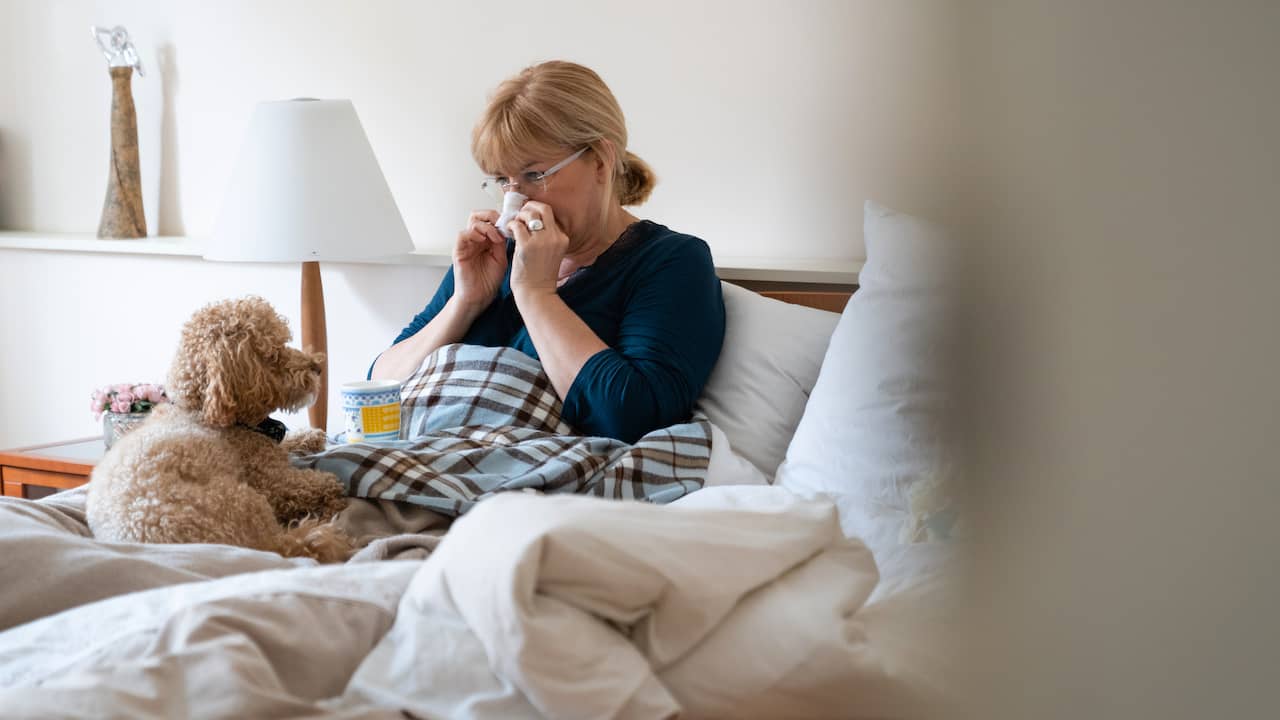 Hooikoortsseizoen piekt eerder dan normaal door zonnige recordlente
