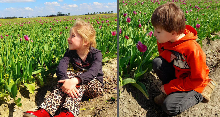 Meerdere lichamen gevonden in auto tijdens zoektocht naar Jeffrey en Emma Meerdere lichamen gevonden in auto tijdens zoektocht naar Jeffrey en Emma